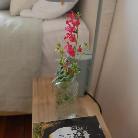 La Colombe Du Marais Accommodatie bij particulieren *